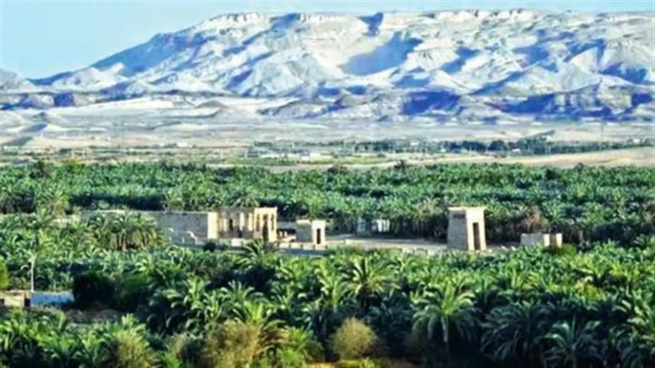 1500 جنيه.. شروط الاشتراك في رحلات الشباب والرياضة للوادي الجديد